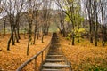 Stairway to heaven Royalty Free Stock Photo