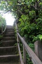 Stairway to heaven with natural wooden fence outdoor, surrounded by green trees Royalty Free Stock Photo