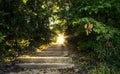 Stairway To Heaven Nature Landscape Royalty Free Stock Photo