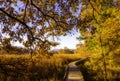 Stairway to heaven, New Jersey Royalty Free Stock Photo