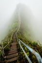 Stairway to Heaven in Oahu island Hawaii coverd by morning fog