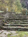 Stairway to a path trees stones