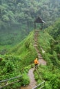 Stairway to Small Hut Above Tad Yuang Waterfall Royalty Free Stock Photo