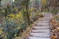 Stairway, trail, footpath, country road in Hoshi no Buranko, Osaka, Japan as background