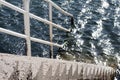 Stairway into water Royalty Free Stock Photo