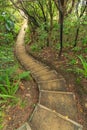 A stairway winds through native forest. Ulva Island, New Zealand