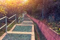 Stairways on hill in the park Royalty Free Stock Photo