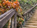 Stairways to Tham Chang cave Vangvieng City Laos