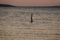 a stake in the ocean at sunset Royalty Free Stock Photo