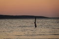 a stake in the ocean at sunset Royalty Free Stock Photo