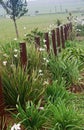 STAKES WITH SIGNIFICANT DATES IN THE LIFE OF NELSON MANDELA AT THE MANDELA CAPTURE SITE