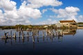 Stakes sticking out of water, remnants of old fishing. Divjaka-Caravan National Park. Albania Royalty Free Stock Photo