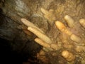 Stalactite in the cave