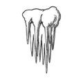 Stalactite Cave Ceiling Element Monochrome Vector