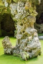 Stalactite inside a cave with green water