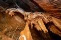 Stalactite and stalagmite and other formations inside a beautiful cave. Royalty Free Stock Photo