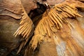 Stalactite and stalagmite and other formations inside a beautiful cave. Royalty Free Stock Photo