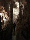 Stalactite and stalagmite of Postojna Cave.