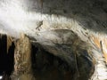 Stalactite and stalagmite of Postojna Cave.