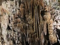 Stalactite and stalagmite of Postojna Cave in Slovenia.