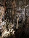 Stalactite and stalagmite of Postojna Cave.