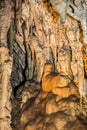 Stalactite underground cave, Demanovska, Slovakia Royalty Free Stock Photo