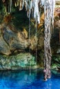 Stalactites and roots at the the Cuzama Cenote, Yucatan, Mexico Royalty Free Stock Photo