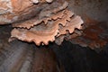 Stalactites, stalagmites and underground rock