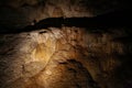 Stalagmite rock formation in Ruakuri Cave, Waitomo, NZ Royalty Free Stock Photo