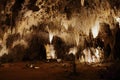 Stalagmites & Stalactites at Carlsbad Caverns National Park