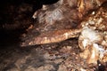 KEBUMEN - This stalagmite is shaped like a crocodile