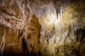 Stalagmites and stalactites in Ruakuri Cave, Waitomo in New Zealand Royalty Free Stock Photo