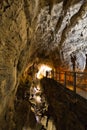 Stalagmites and stalactites in Ruakuri Cave, Waitomo, New Zealand Royalty Free Stock Photo