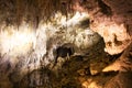 Stalagmites and stalactites in Ruakuri Cave, Waitomo, New Zealand Royalty Free Stock Photo