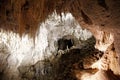 Stalagmites and stalactites in Ruakuri Cave, Waitomo, NZ