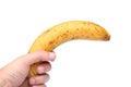 A stale banana in a hand Royalty Free Stock Photo