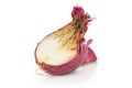 Stale red onion isolated on white Royalty Free Stock Photo