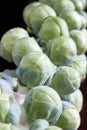 Stalk of Brussels Sprouts 2 Royalty Free Stock Photo