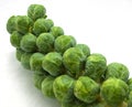 Stalk of brussels sprouts Royalty Free Stock Photo