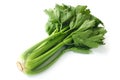 Stalk Celery Royalty Free Stock Photo