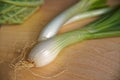 Stalk fresh green bulb onions