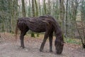 Willow horse sculpture by Anna Cross in natural setting.
