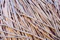 stalks of dryed reeds with orange and black pattern