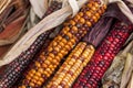 Stalks of field corn.