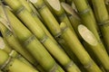 Stalks of sugarcane