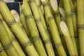 Stalks of sugarcane