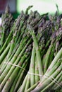 stalks of young fresh asparagus Royalty Free Stock Photo