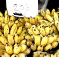 Stall of bananas Royalty Free Stock Photo