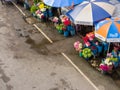 Stall selling fresh flower on roadside