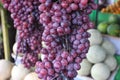 in season grapes. Royalty Free Stock Photo